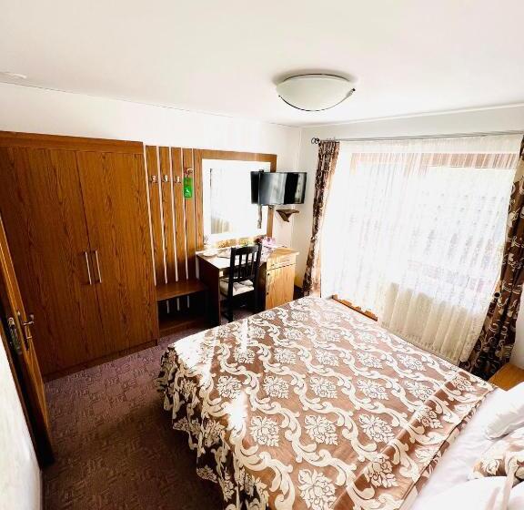 Номер Стандарт Вид на Горы, Pensiunea Andias