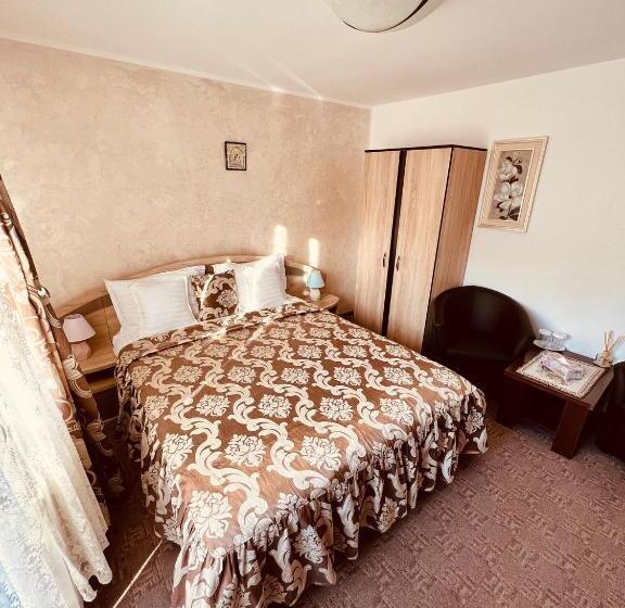 Номер Стандарт Вид на Горы, Pensiunea Andias