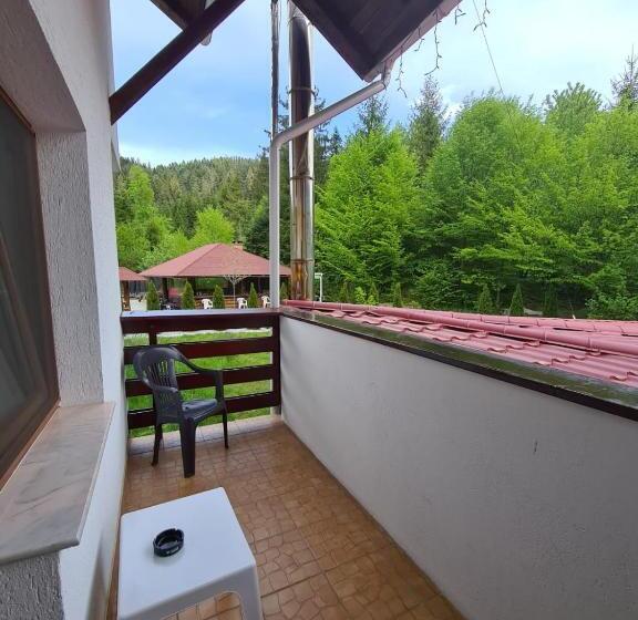 Номер Стандарт Вид на Горы, Pensiunea Andias