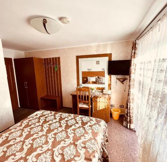 Номер Стандарт Вид на Горы, Pensiunea Andias