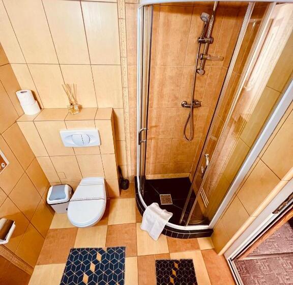 Номер Стандарт Вид на Горы, Pensiunea Andias