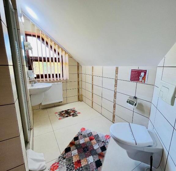 Номер Стандарт Трехместный, Pensiunea Andias