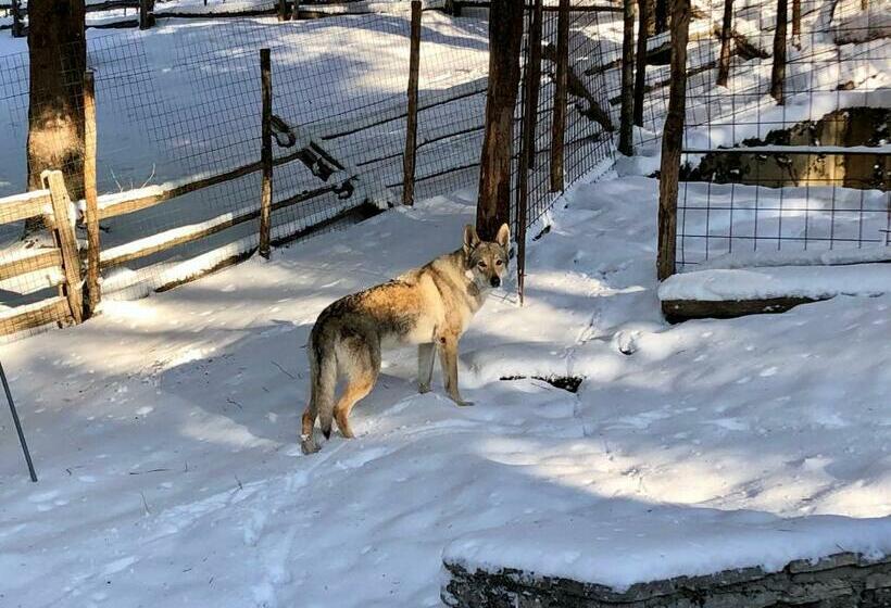 غرفة قياسية رباعية, Affittacamere 7nani