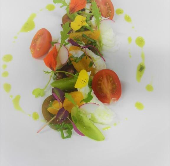 Вилла Deluxe 1 Спальня, Kilima Franschhoek