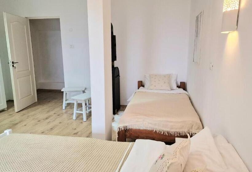 スタンダードトリプルルーム, Studiorasnov