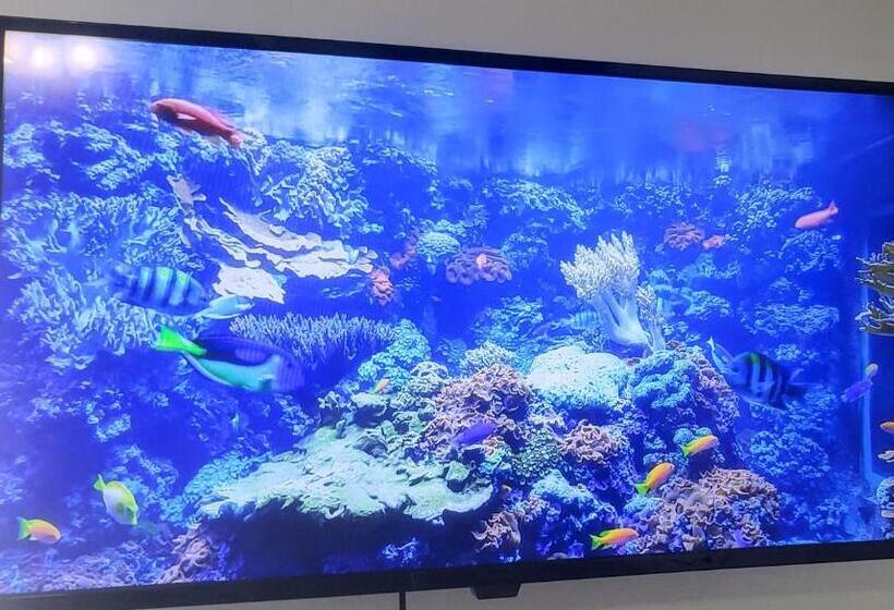 スタンダードルーム, Stylish Suite Tampa Minutes To Hard Rock Casino