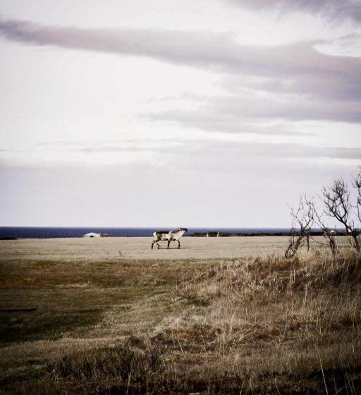 اتاق استاندارد با سرویس بهداشتی مشترک, Northeast Guesthouse