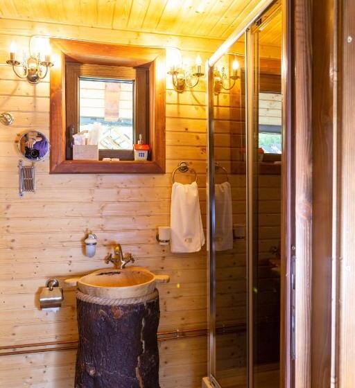 חדר משפחתי נוף לגינה, Casa Baciu