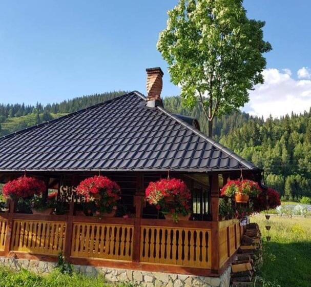 חדר משפחתי נוף לגינה, Casa Baciu