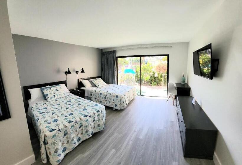 חדר סטנדרט פנימי, Satellite Motel