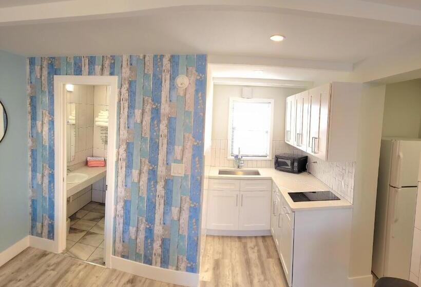 חדר סטנדרט עם מרפסת, Satellite Motel