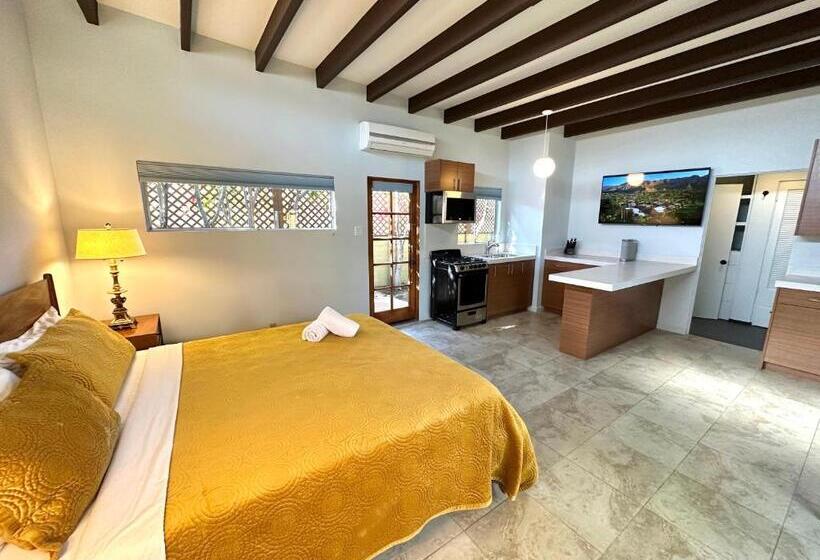 Deluxe-studio, Atrium Palm Springs   G A Y Mens Resort