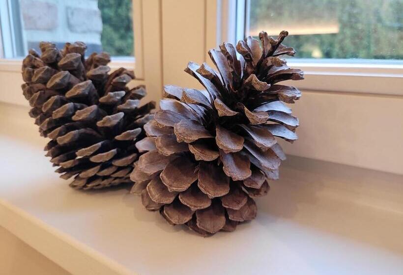 スタンダードルーム, Les Chanterolles