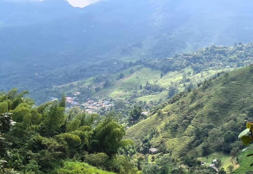 Cameră Standard, Hospedaje Pance Arí Munani Reserva Natural