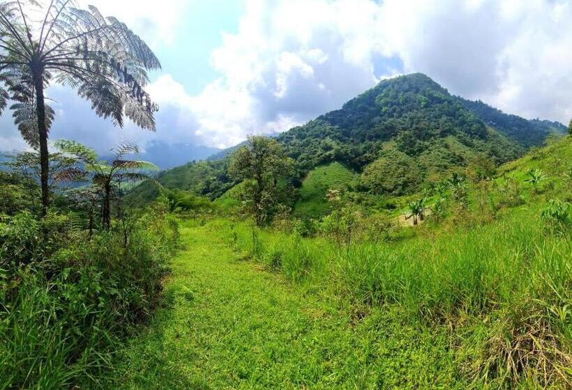 Standard Szoba, Hospedaje Pance Arí Munani Reserva Natural