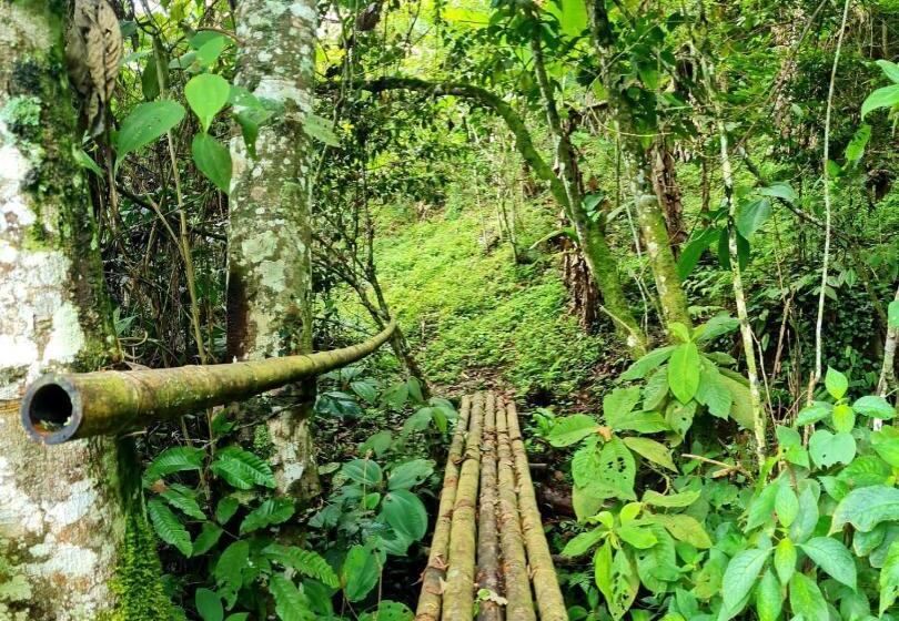 Standard Szoba, Hospedaje Pance Arí Munani Reserva Natural