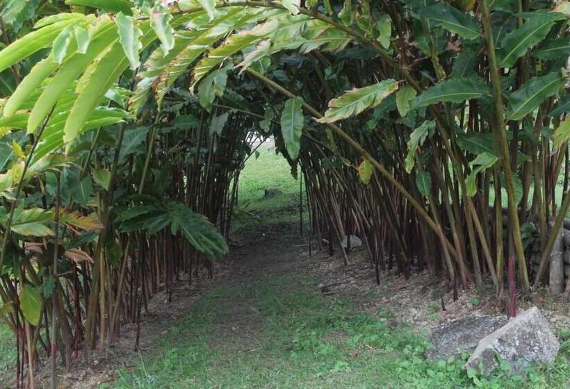 Családi Szoba Közös Fürdővel, Hospedaje Pance Arí Munani Reserva Natural