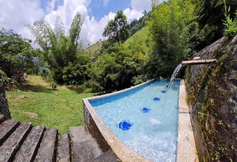 Cameră Familiar cu Baie în Comun, Hospedaje Pance Arí Munani Reserva Natural