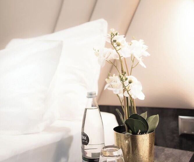 프리미엄 룸, Plaza Premium Heidelberg