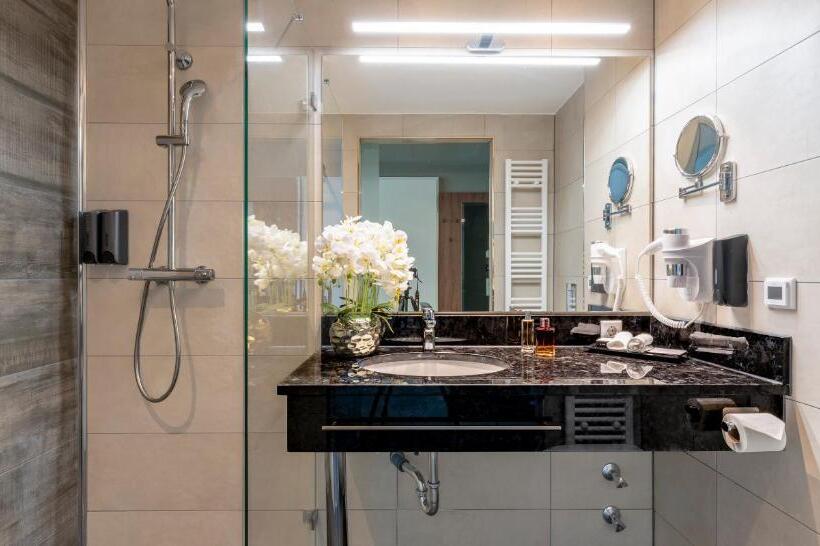 프리미엄 싱글 룸, Plaza Premium Heidelberg