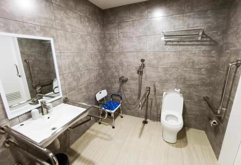 غرفة قياسية لذوى الاحتياجات الخاصة, Starlink