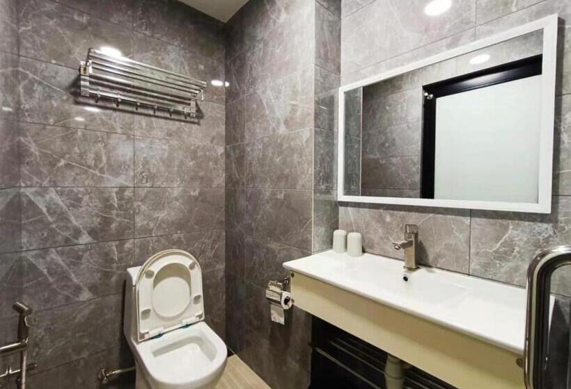 جناح عائلي, Starlink