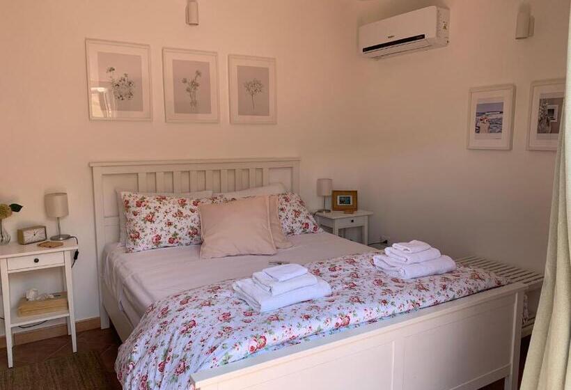 غرفة قياسية مع حمام خارجي, Pizzo Central House