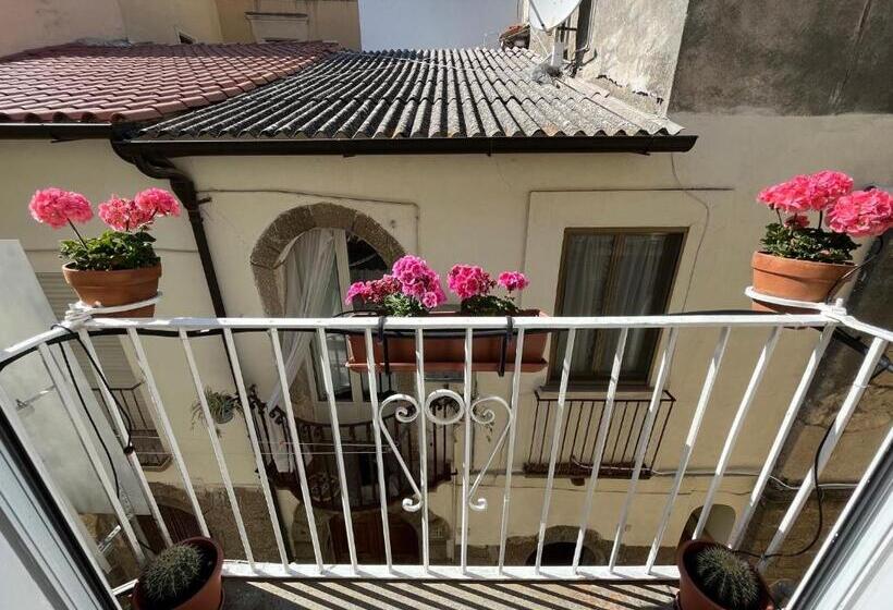 غرفة قياسية, Pizzo Central House