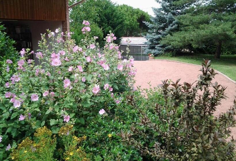 Номер Стандарт Вид на Сад, érable Pourpre