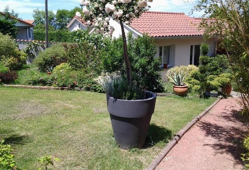 Номер Стандарт Вид на Сад, érable Pourpre