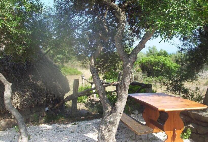 스탠다드 룸, Ovile Juanne Loddo