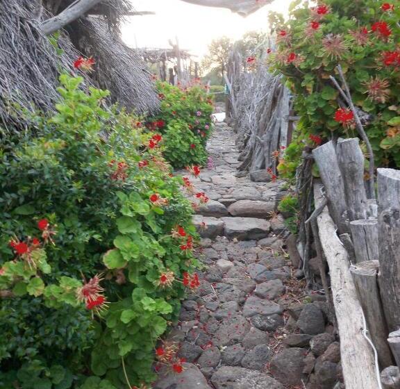 غرفة قياسية, Ovile Juanne Loddo