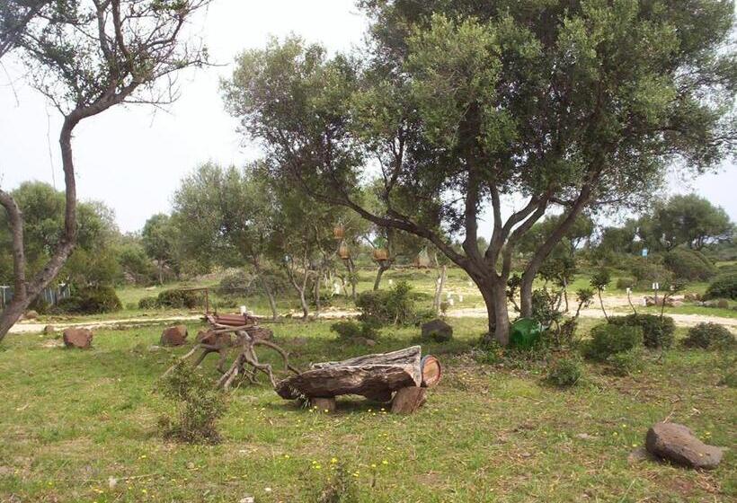 클래식 4인 룸, Ovile Juanne Loddo