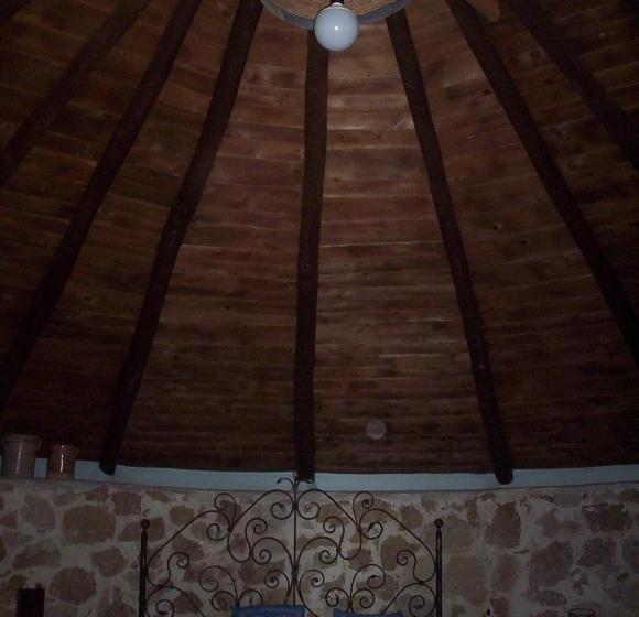 غرفة كلاسيكية رباعية, Ovile Juanne Loddo