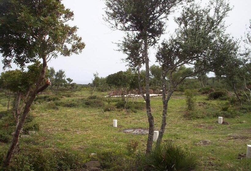 스탠다드 트리플 룸, Ovile Juanne Loddo