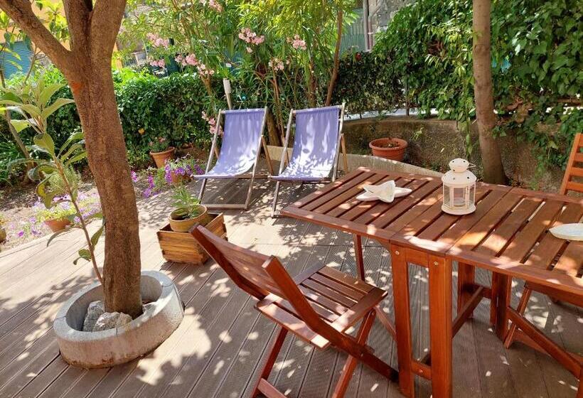 اتاق استاندارد اینتریور, Albamare