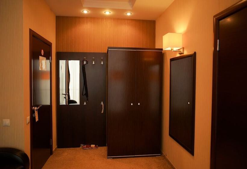اتاق سوپریور, City Hotel Bogemia