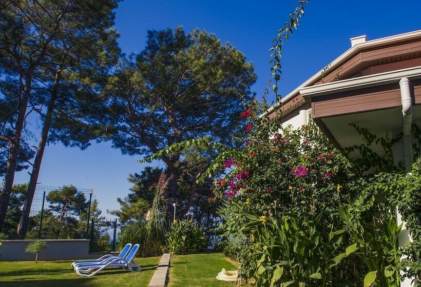 Номер Стандартный с Видом, Garcia Resort & Spa  Ultra All Inclusive