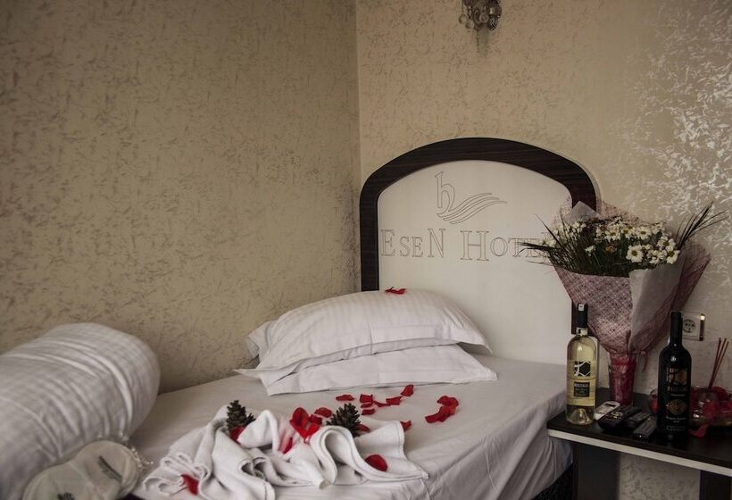 Standard Single Room, Sirkeci Esen Apart