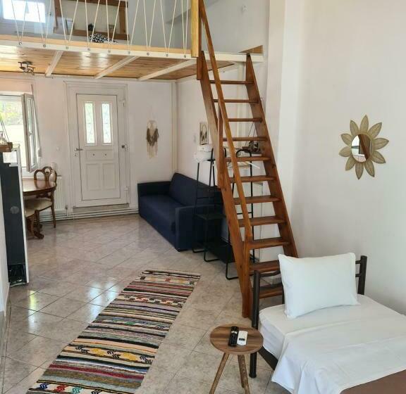 استودیوی استاندارد با چشمانداز دریا, Pleiades