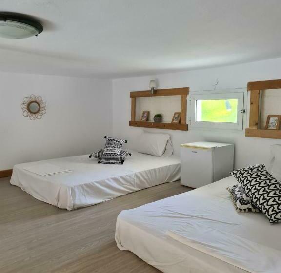 استودیوی استاندارد با چشمانداز دریا, Pleiades