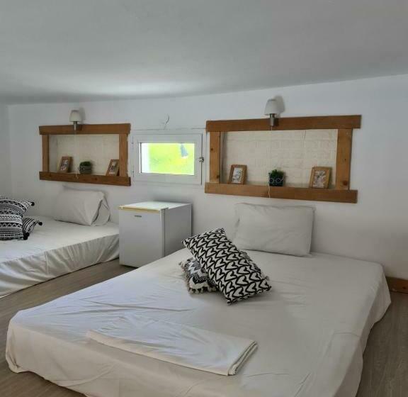 استودیوی استاندارد با چشمانداز دریا, Pleiades