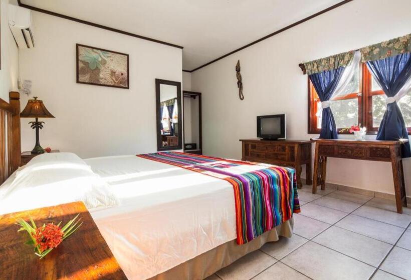 اتاق استاندارد, Splash Inn Dive Resort & Villas