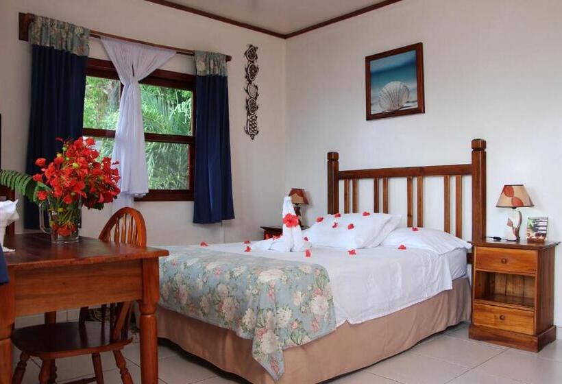 اتاق استاندارد, Splash Inn Dive Resort & Villas