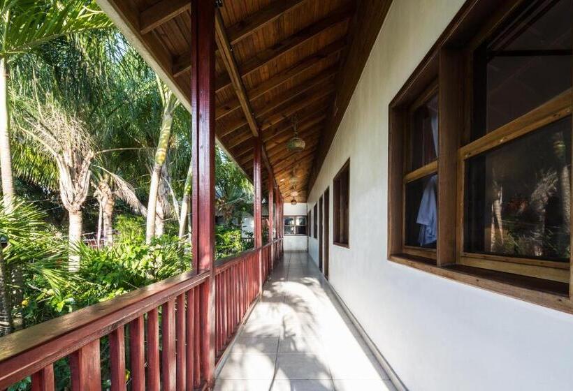 اتاق استاندارد سه نفره, Splash Inn Dive Resort & Villas
