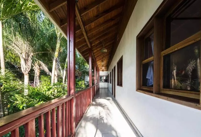 اتاق استاندارد سه نفره, Splash Inn Dive Resort & Villas