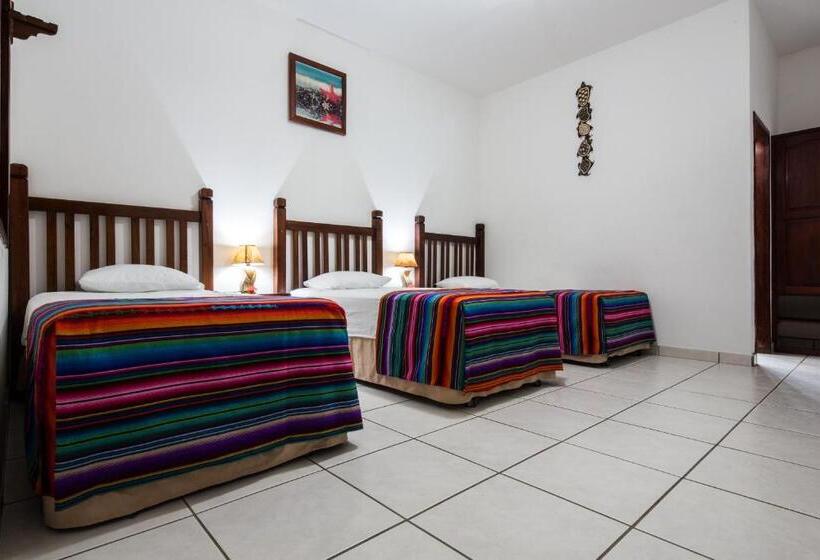 اتاق استاندارد سه نفره, Splash Inn Dive Resort & Villas