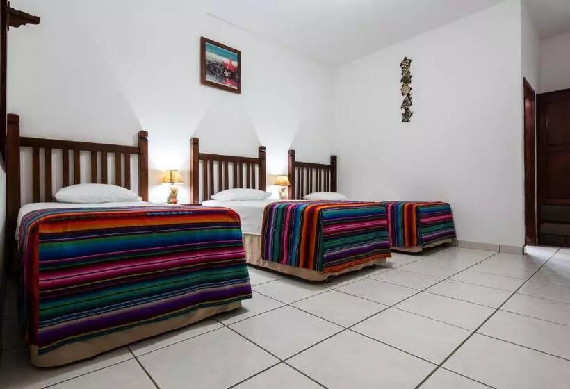 اتاق استاندارد سه نفره, Splash Inn Dive Resort & Villas