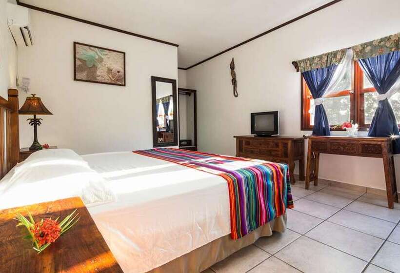 اتاق استاندارد, Splash Inn Dive Resort & Villas