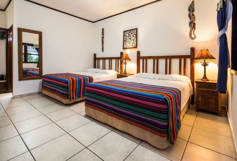 اتاق سوپریور, Splash Inn Dive Resort & Villas